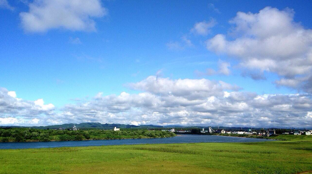 Japan Health Policy NOW – Japanese Health Policy